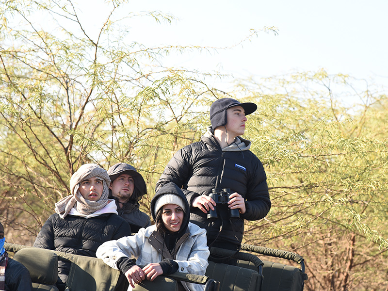 Jawai Safari