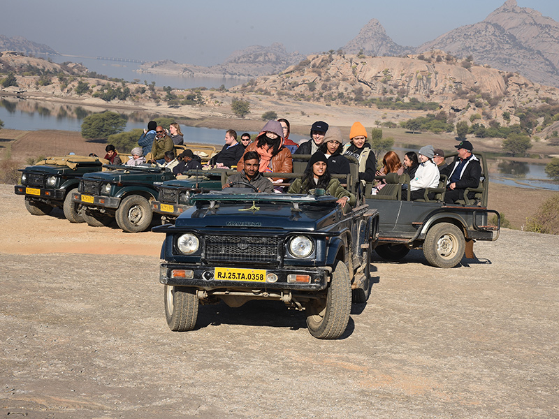 Jawai Safari