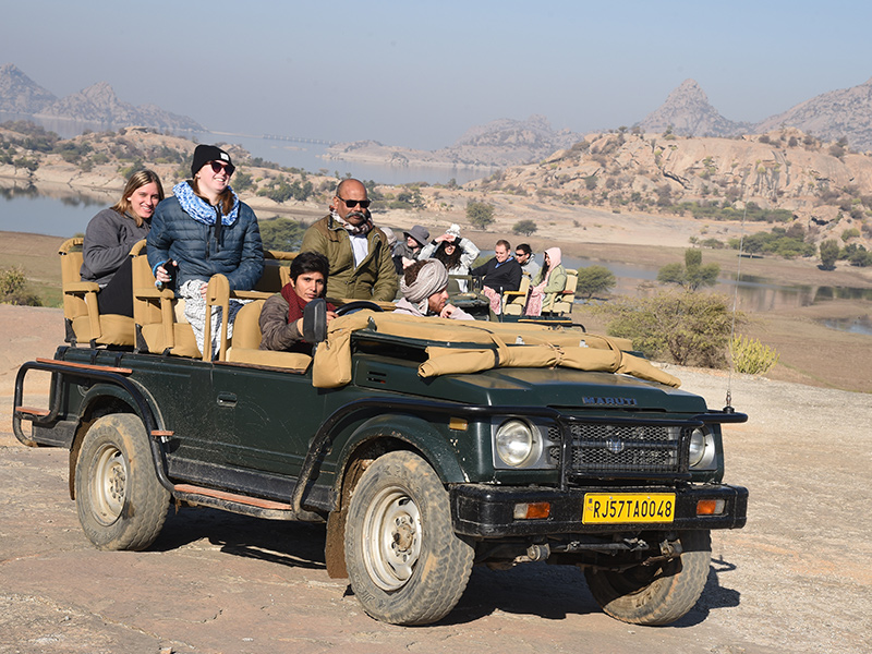 Jawai Safari