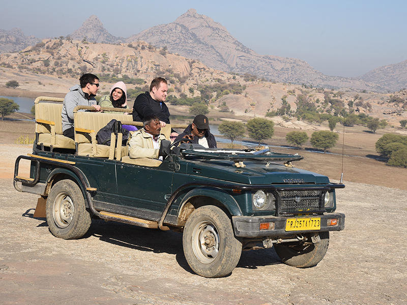 Jawai Safari