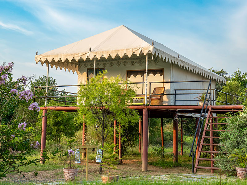 Jawai Nature Stay