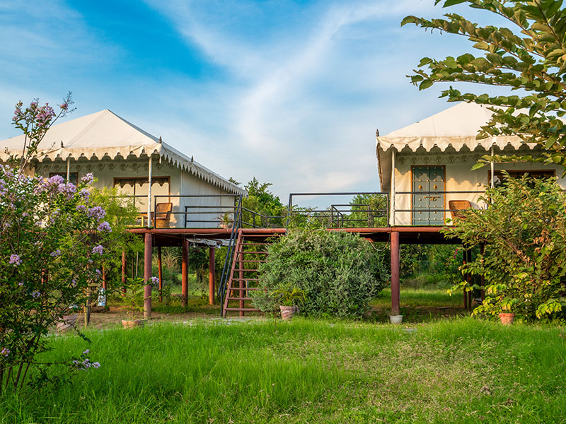Jawai Nature Stay