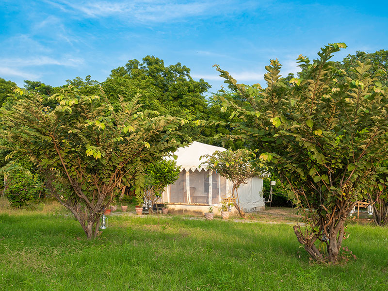 Jawai Nature Stay