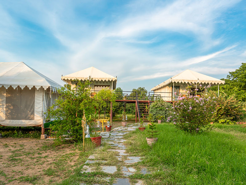 Jawai Nature Stay