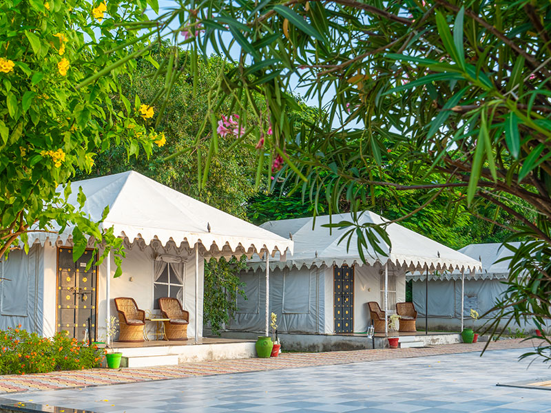 Jawai Nature Stay