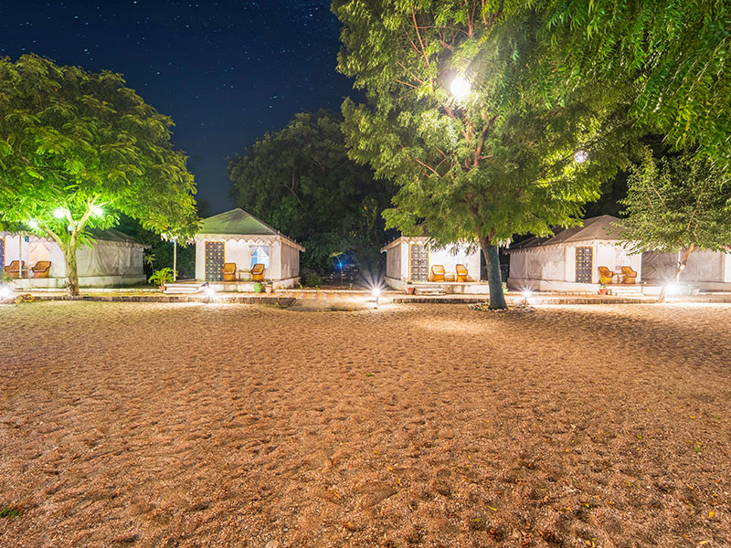 Jawai Nature Stay