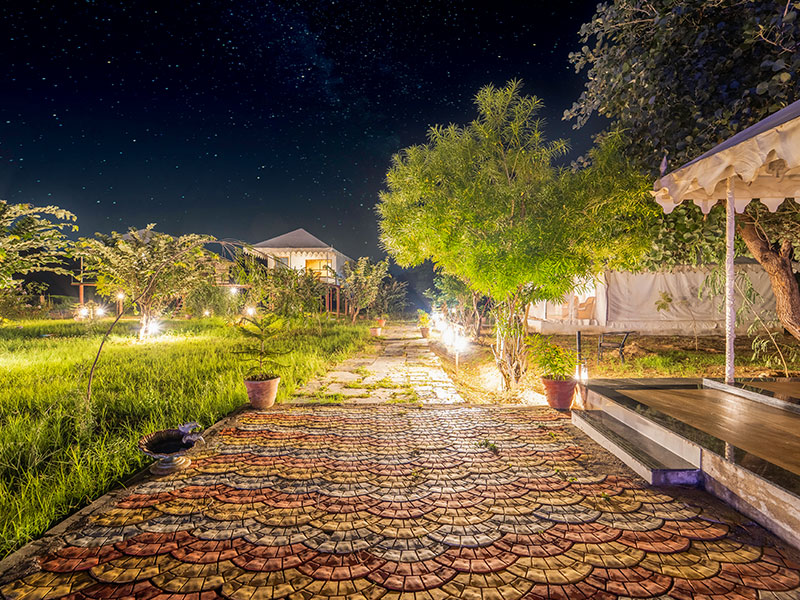 Jawai Nature Stay
