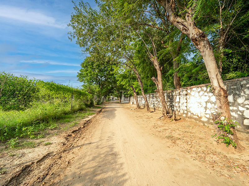 Jawai Nature Stay