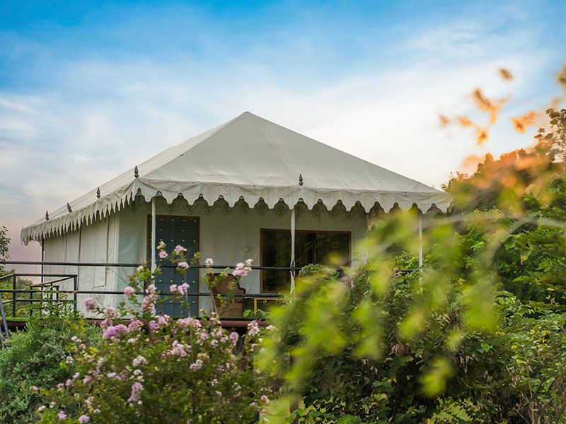 Jawai Nature Stay