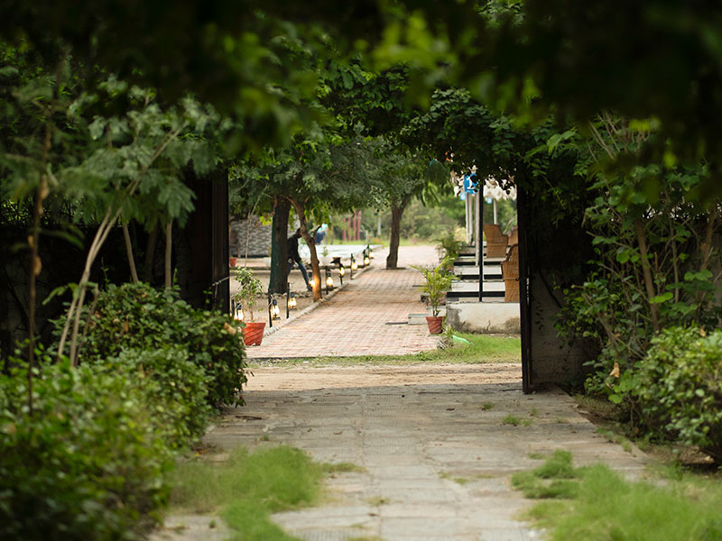 Jawai Nature Stay