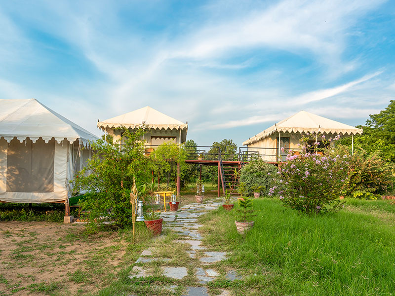 Jawai Nature Stay