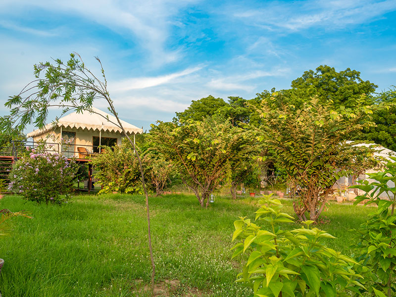Jawai Nature Stay