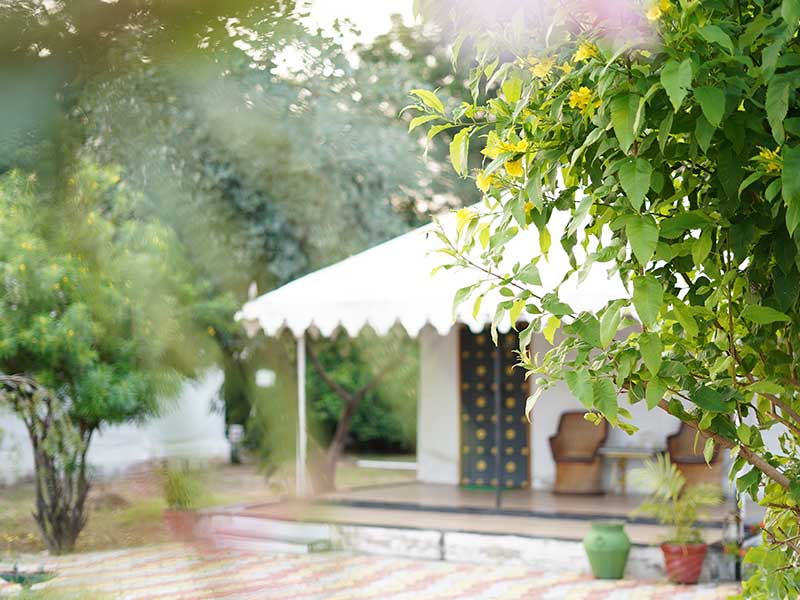 Jawai Nature Stay