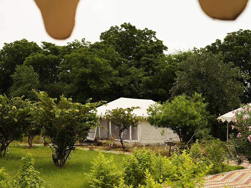 Jawai Nature Stay