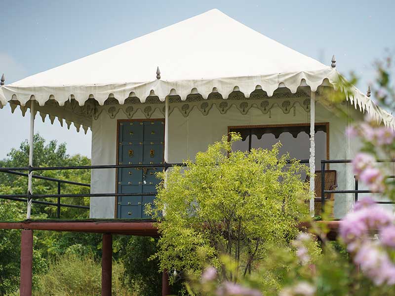 Jawai Nature Stay