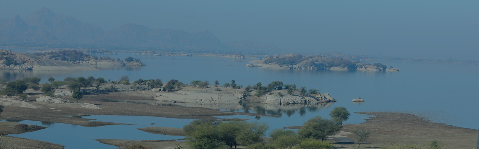 leopard safari in