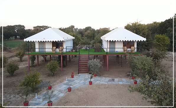 Jawai Nature Stay - Best Wildlife Resort in Jawai with Swimming Pool