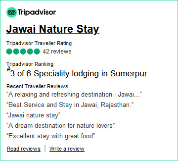 Jawai Nature Stay - Best Wildlife Resort in Jawai with Swimming Pool