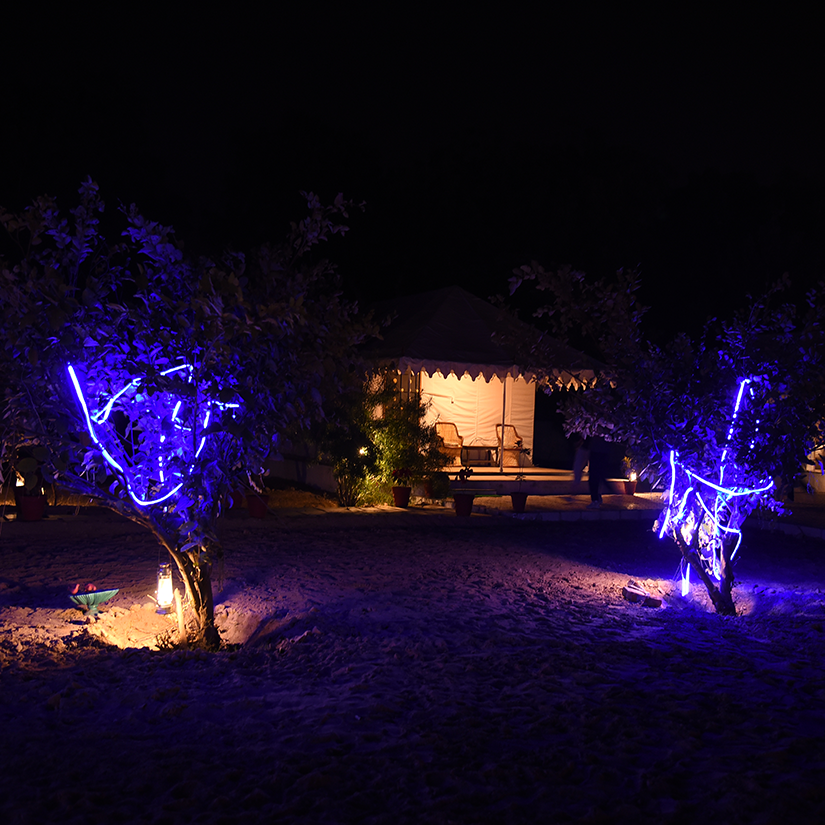 Christmas Tour Package in Jawai