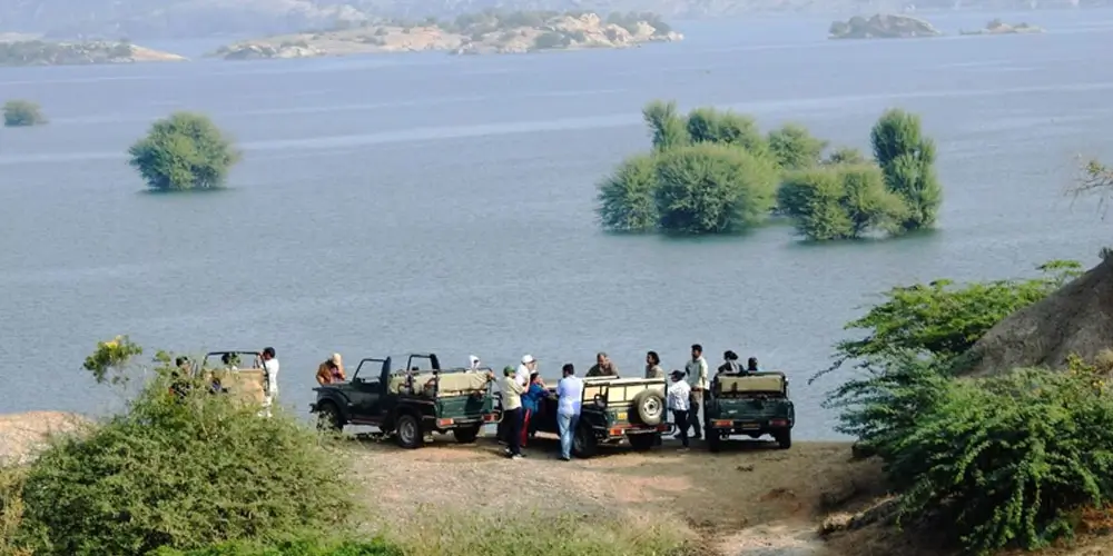 Birdwatching-at-Jawai-Dammm