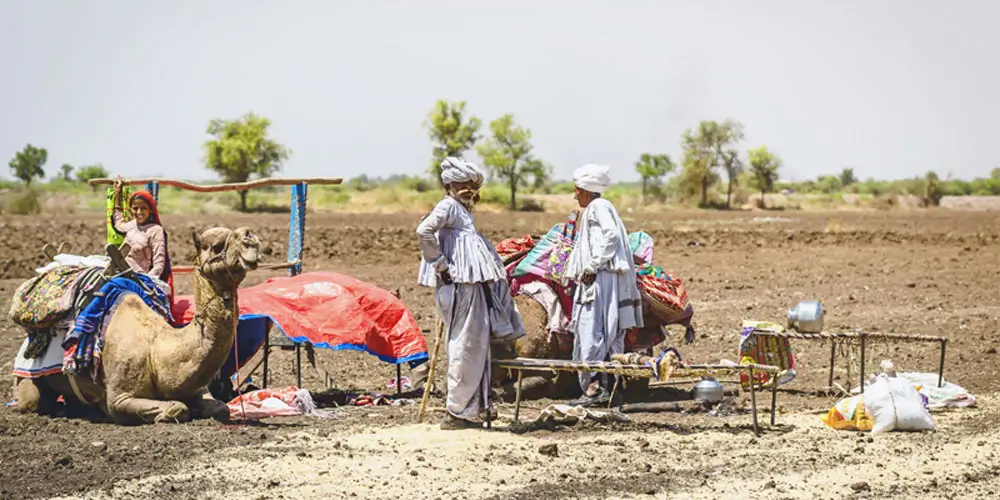 Explore-Rabari-Villagesss