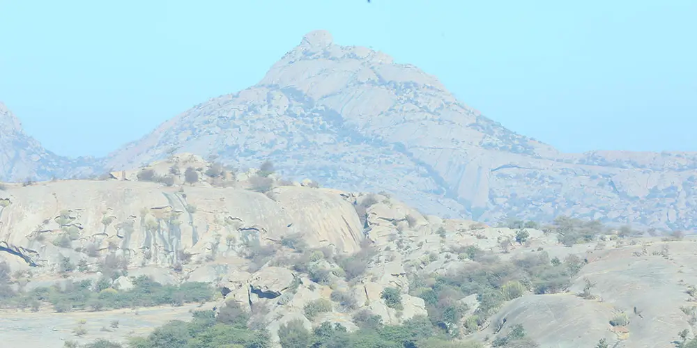 Other-Wildlife-in-Jawai