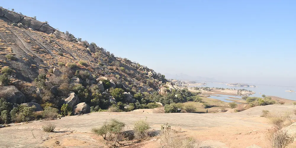 The-History-of-Jawai-Bandh