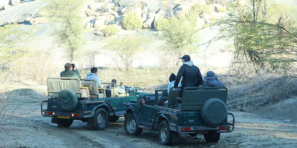 What-is-the-Leopard-Sanctuary-in-Rajasthan