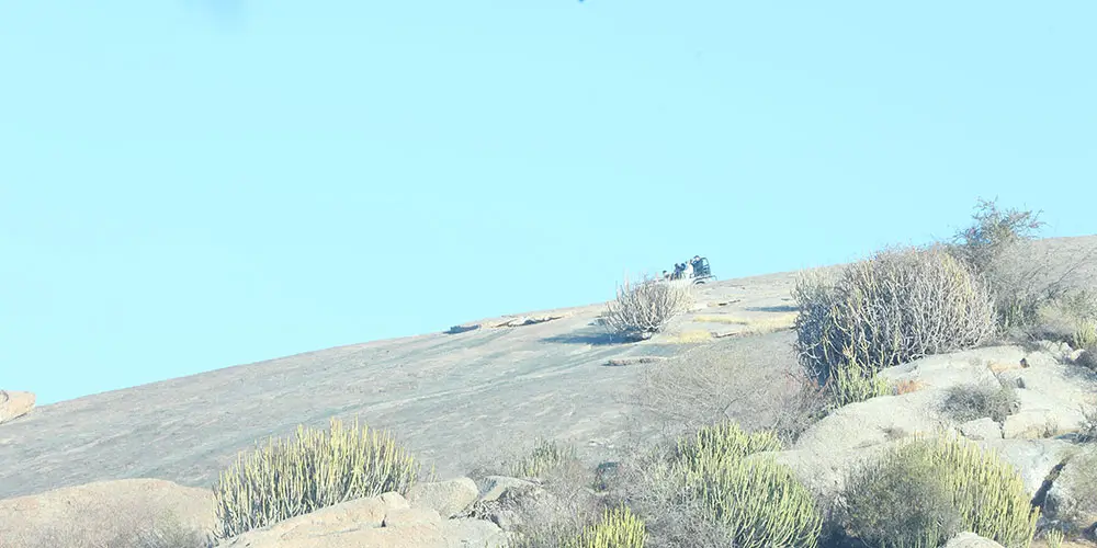 Why-Jawai-is-Unique-for-Leopard-Safaris