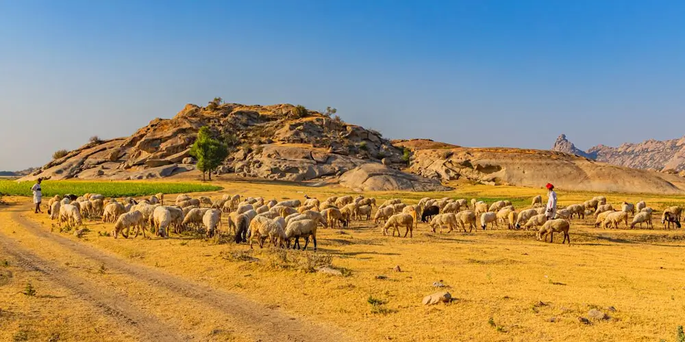The Perfect 10-Day Golden Triangle with Jawai Itinerary