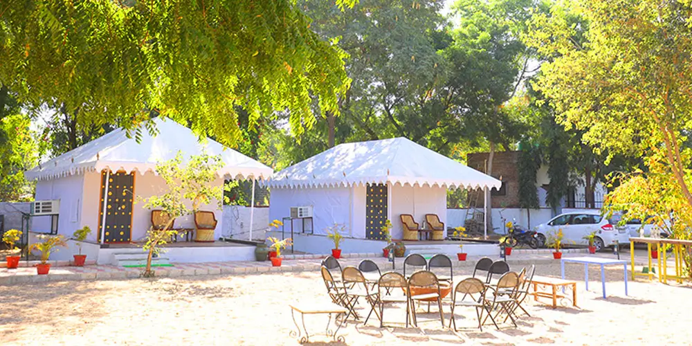 Who Should Book a Jawai Luxury Tent Stay Package