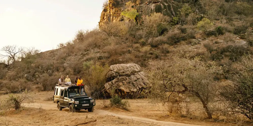 Who Should Book a Delhi to Jawai Safari Package